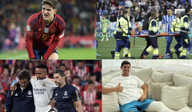 关于莎莎退 关于莎莎退